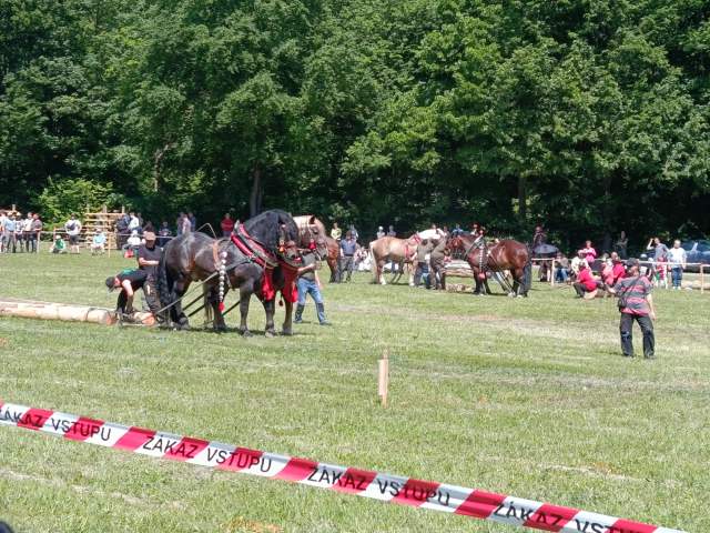 IMG_20260523_141338